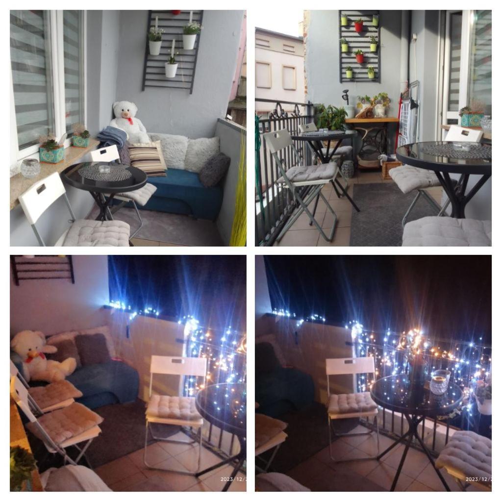 Apartament Centrum 新鲁达 客房 照片